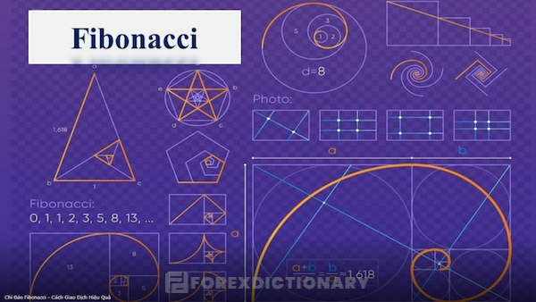 Giới thiệu về Fibonacci là gì