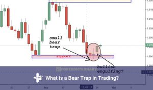 Bear Trap là gì? Cách nhận biết bẫy Bear Trap trên thị trường