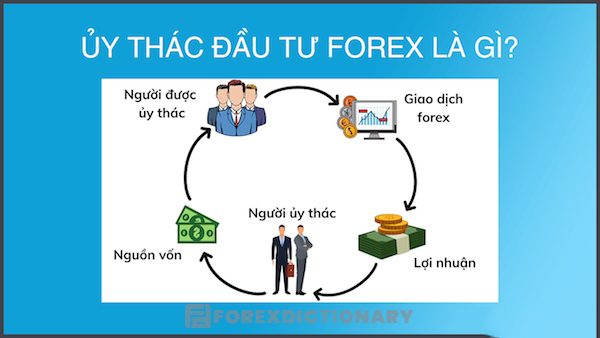 Tìm hiểu tổng quan về các kiến thức về ủy thác đầu tư tài chính Forex