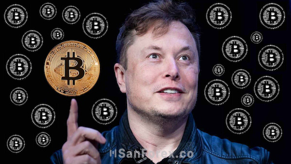 Tỷ phú Tesla Elon Musk và đồng tiền Bitcoin dưới sự ảnh hưởng của Bandwagon Effect