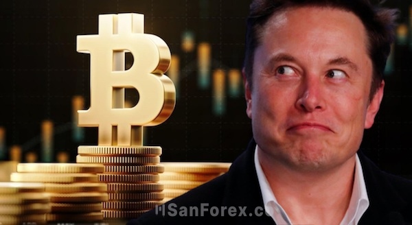 CEO Tesla Elon Musk và xu hướng FUD điển hình trên thị trường tiền điện tử