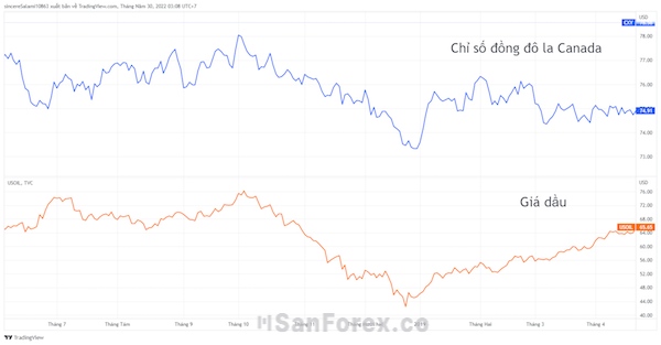 Đồng đô la Canada và giá dầu thô thường có mối tương quan thuận