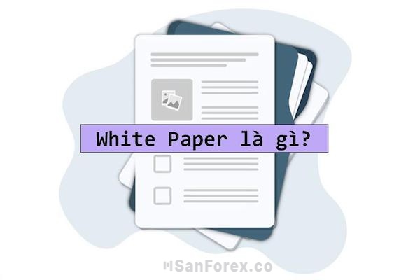 Khám phá bản chất của Whitepaper là gì và ý nghĩa của nó