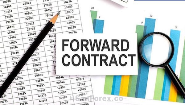 Rủi ro của Forward Contract nằm chủ yếu trong sự không chắc chắn về giá cả trong tương lai
