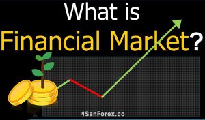 Thị trường tài chính là gì? Vai trò của thị trường tài chính