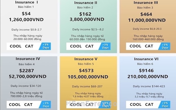Các gói bảo hiểm do Coolcat giới thiệu đến nhà đầu tư
