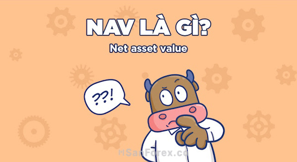 Khái niệm thuật ngữ chỉ số NAV là gì?
