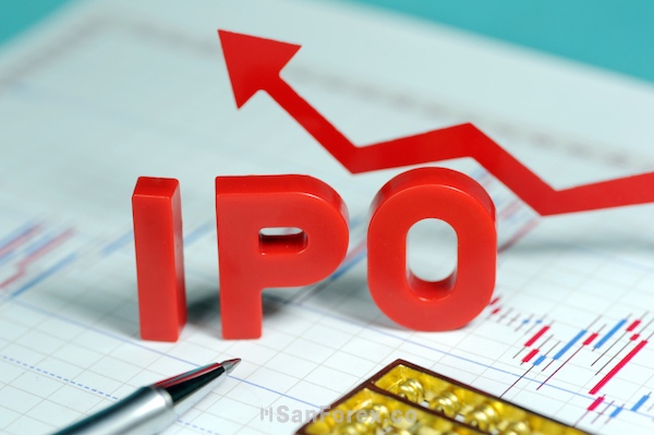 Nhà đầu tư cần cung cấp các thông tin theo yêu cầu để mua IPO